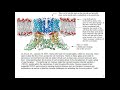 Chap 10 & 11, lecture 2 (of 4)  C=O chemistry