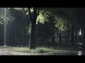 Heavy rain to sleep, 3 hours of rain in the park at night | Meditation, relieving stress & insomnia
