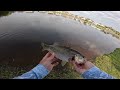 Fishing for MONSTER Bass in SMALL Ponds! (Bed Fishing)