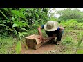 New To You ! Easy Simple Pigeon Trap Using Cardboard Box - Unique Bird Trap