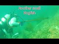 Diving Hollywood Beach - Lobster scouting - Jul 5th, 2024