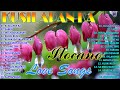 TOP🥇ILOCANO LOVE SONGS 2024,💓MOST REQUESTED ILOCANO BALSE NONSTOP MEDLEY,KUSILAPAN KA,SABON #ilocano