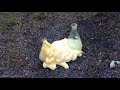 Elephant's Toothpaste Part 3