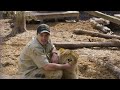 My Lion Sucks My Thumb | BEAST BUDDIES