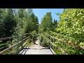 Nature Boeal Forest ( Trails Of The Embruns pt 7)