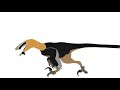 Dakotaraptor tests