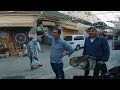 Shocking Life Inside the Most Tense City of Palestine S06 EP.69 | MIDDLE EAST MOTORCYCLE TOUR