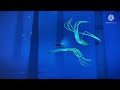 ABZÛ - Giant Squid and Sperm Whales
