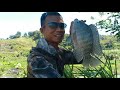 SUNGGUH BERUNTUNG ‼️ Pemaser Menemukan spot ini ikan nila BABONNYA banyak #nivalfishing