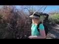 LAKE HAVASU STATE PARK in LAKE HAVASU CITY ARIZONA | Hiking the Mojave Sunset Trail