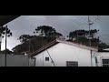 Tempestade em Curitiba derruba Pinheiro 30/05/20