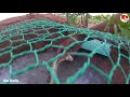 Snake Trap Technology - Awesome Big Snake Trap Using Cage Trap