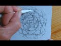 My New Tangle Peony Rose with Step-out and Color Demo with Annie Reiser, CZT