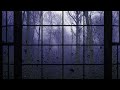 Rain Sounds On Window with Thunder Sounds / Rain in Forest at Night ~ 10 Hours