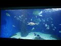 Virtual Walkthrough of the Virginia Aquarium