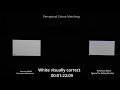 Samsung QN90B Visually Matching White from Reference in 1minute