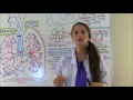 COPD (Chronic Obstructive Pulmonary Disease), Chronic Bronchitis, Emphysema-NCLEX Part 1