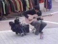 Manouche busker