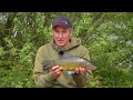 Learn To Tench Fish - Advanced Gravel Pit Tench Fishing
