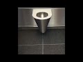 Self destructing toilet