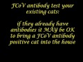 Prevent the virus which causes feline infectious peritonitis (FIP) from infecting your cats