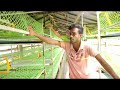 Three Layers Cage Farm Kayse Banaye || Poultry Cage Farm #poultryfarming