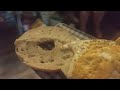 making a bagel(2)