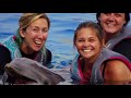 Virtual Field Trip: Marineland Dolphin Adventure