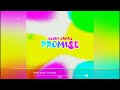 Abbhi Arora - Promise