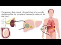 Lipoprotein metabolism and transport | Chylomicron, VLDL,IDL, LDL,HDL | Metabolism | Biochemistry