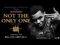 Kevin Gates - Not The Only One (Official Audio)