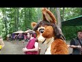 Tamias the Chipmunk at the Black Rock Medieval Festival