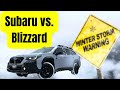 2024 Subaru Forester Wilderness vs. Actual Blizzard