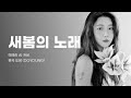 백예린 (Yerin Baek) AI - 새봄의 노래 (Beginning) (도영 DOYOUNG)