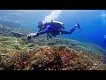 Komodo #7 : Dive on « Batu Bolong » the Rock like an Aquarium - 4k (top dive site) - Showreel