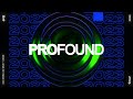 PROFOUND | 2023 End Of Year Mix