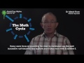 The Cycle of Meth Abuse