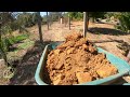 Abandoned House in Portugal Renovation - 3 Year Timelapse