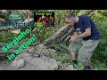 Pinecone SG 2402 - Outdoor Mini Crawler Course - Crawler Land Sintra