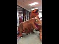 Dinosaur Corporate Halloween Performance