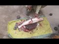 How To Cut Fish in Pakistan