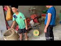 Orphan boy efforts -  Gardening, Harvest trees to make brooms