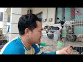 Cách Thuần Chim Nhanh Quấn Chủ Và Tập Chim Non Tự Ăn Cám Khô II How to tame shy birds@KhiNguyen Vlog