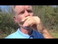 harmonica bending for beginners