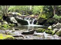 One Minute Relaxing Great Smokey Mountains Waterfall Sounds 8