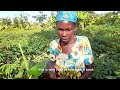 Making millions as a coffee farmer in Africa Uganda.