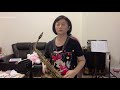 貪戀的酒/Feng-Saxophone cover