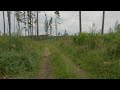 Over 50 Minutes of Summer Walk | 4K | ASMR | Nature Hike | Forest Trail | Slow TV | Pure Sounds