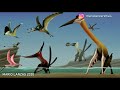 PTEROSAURS . size comparison and data. Flying reptiles