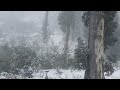 Victoria High Country - North East. Driving around in the Snow - June 2022. Vid No: 2